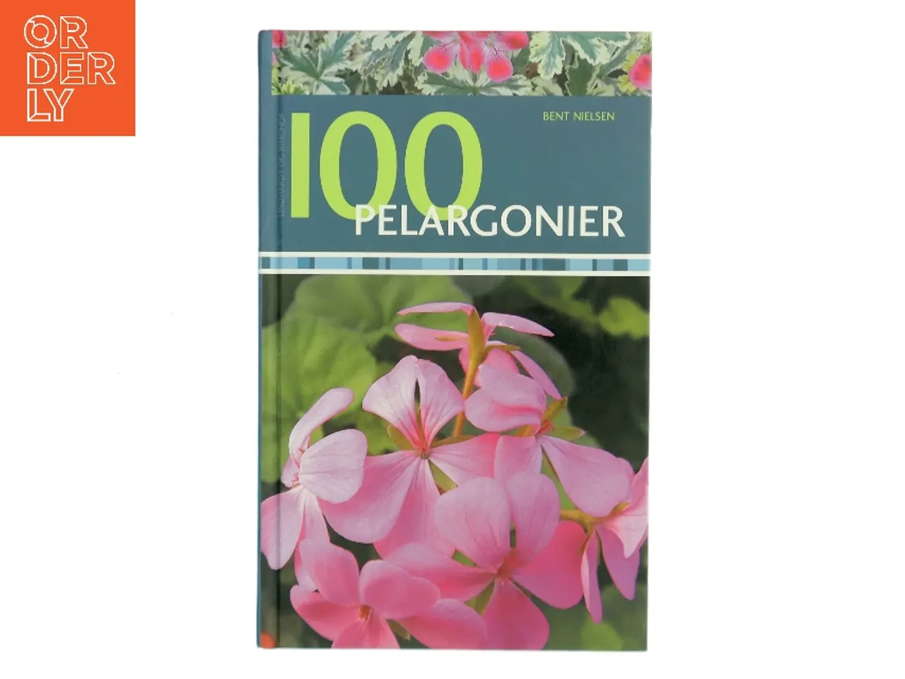 Billede 1 - 100 pelargonier af Bent Nielsen (Bog)