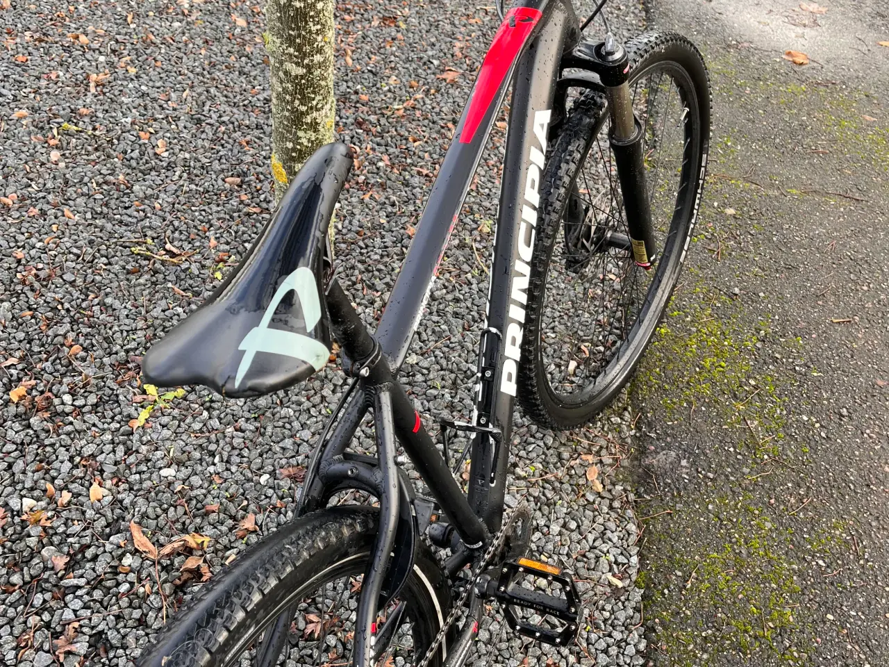 Billede 2 - Principia mountainbike 