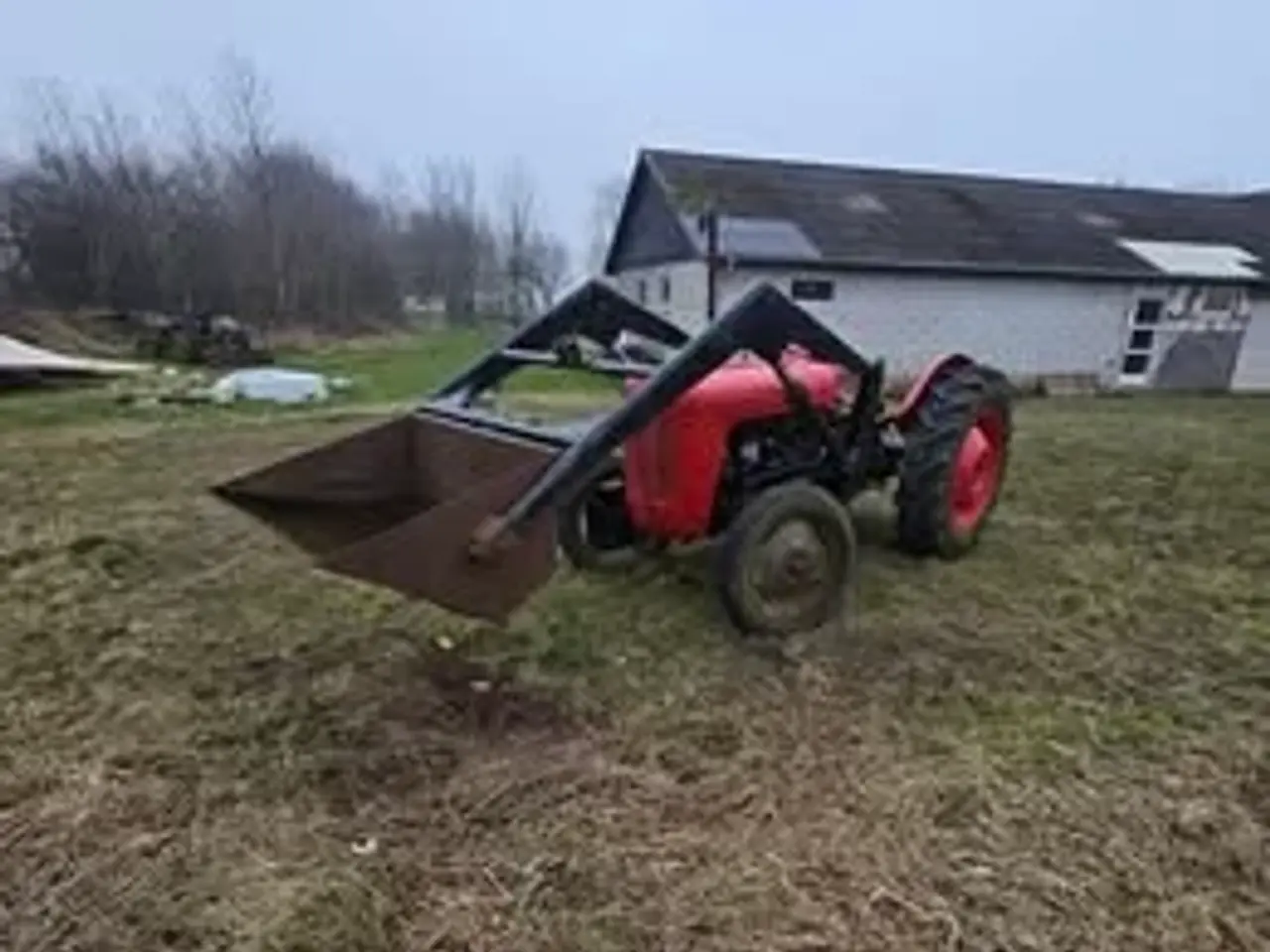 Billede 7 - Massey ferguson MF35 benzin