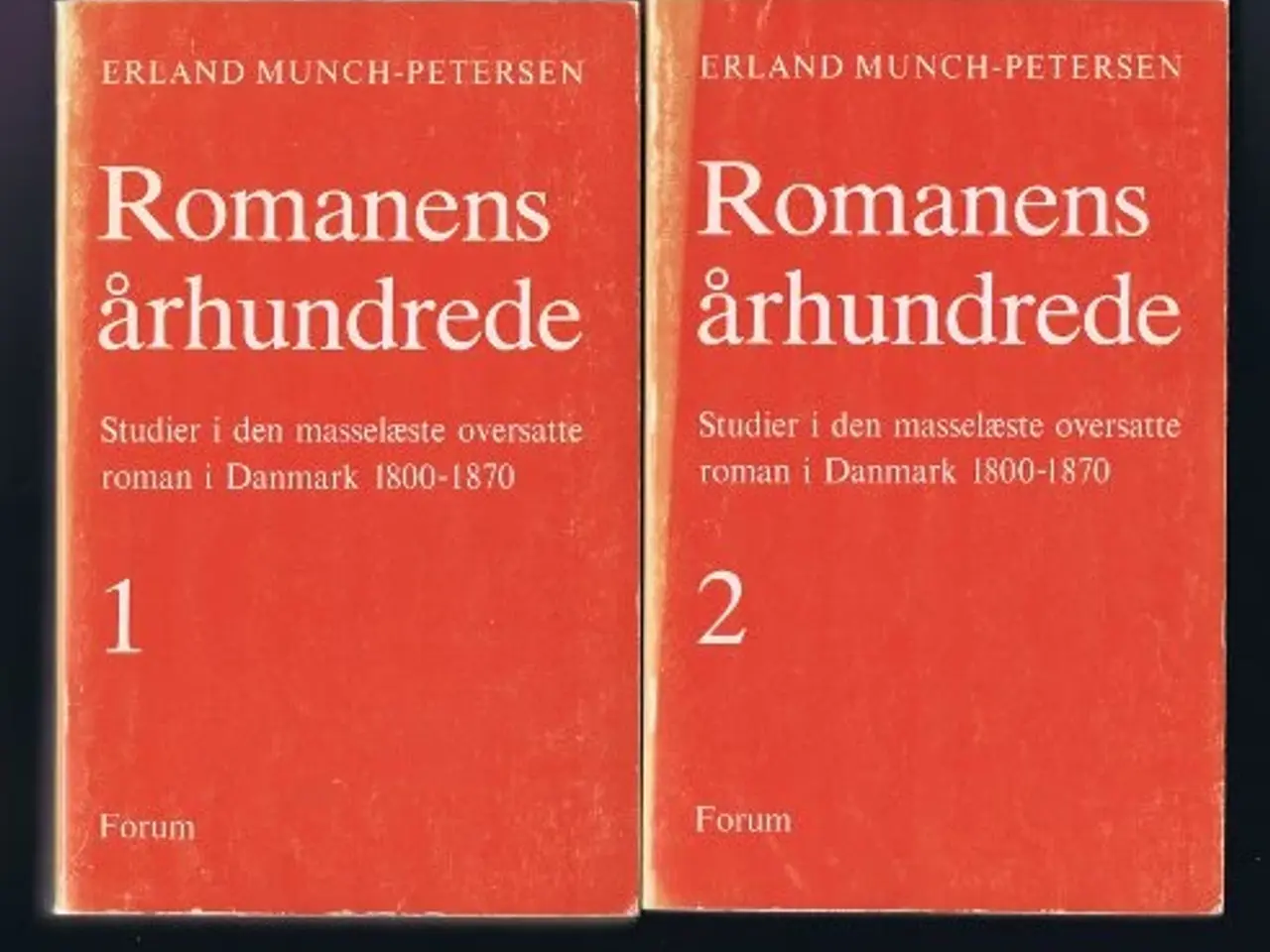 Billede 1 - Erland Munch-Petersen: Romanens århundrede