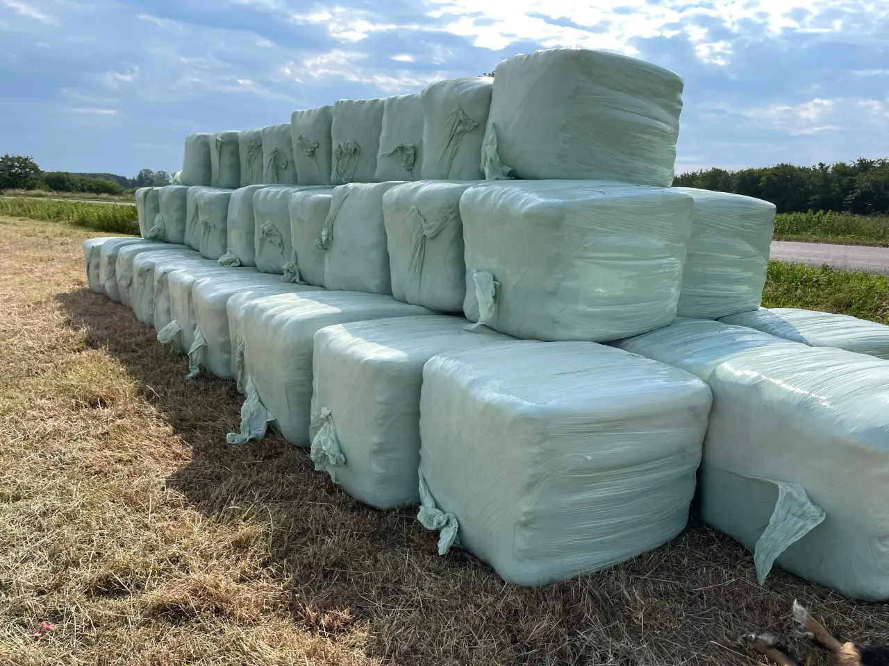 Billede 3 - 2025 Minibig wrap
