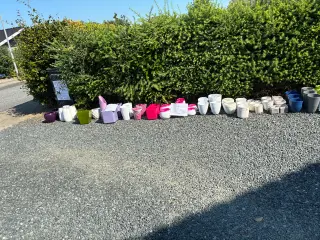 Krukke outlet! 