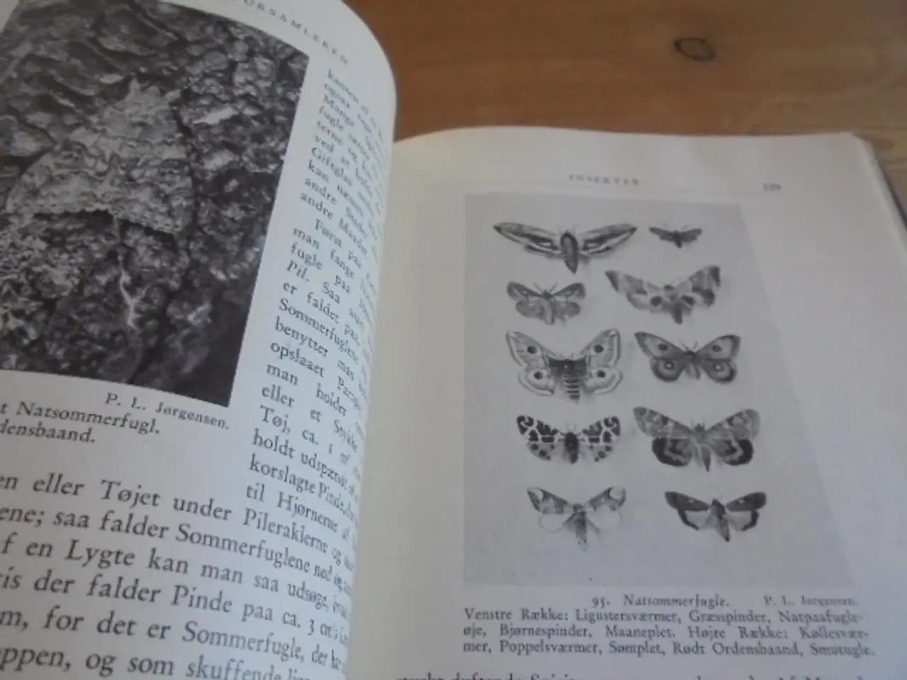 Billede 5 - Natursamleren – Hans Hvass – udg. fra 1942