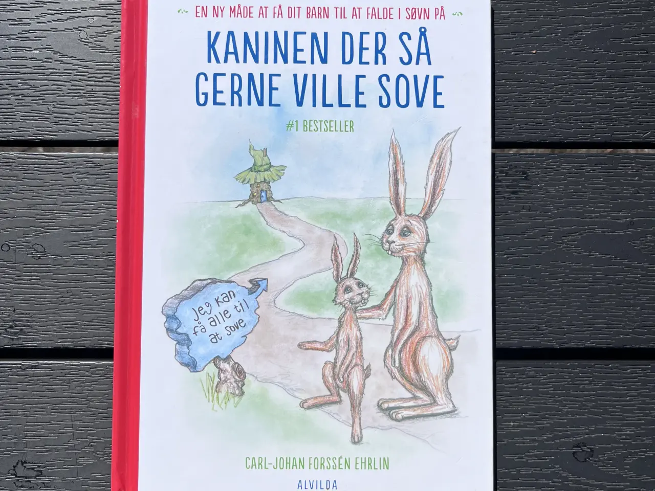 Billede 1 - Velholdt bog “Kaninender så gerne ville sove”
