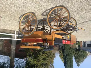 Charabanc