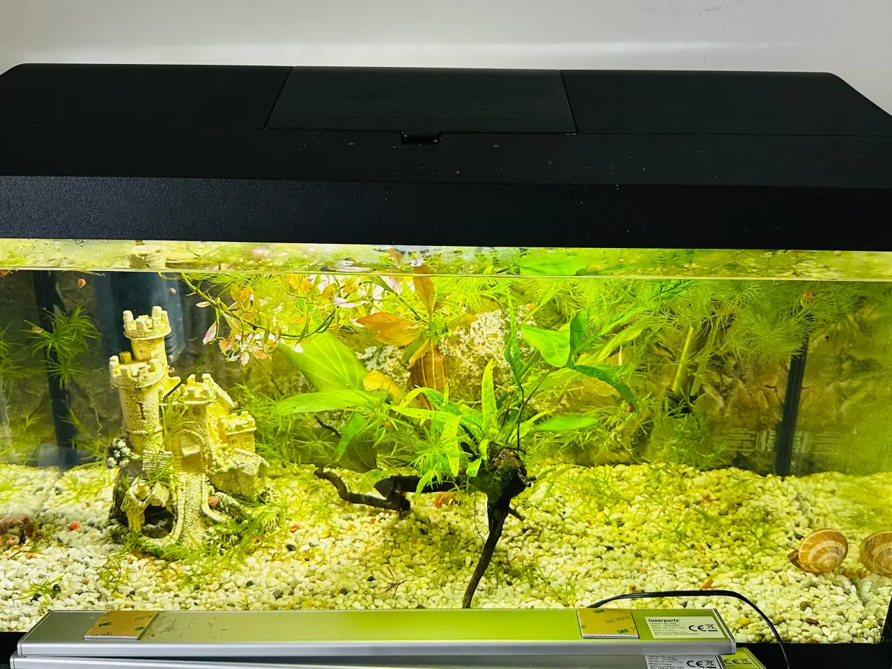 Billede 4 - 3 stk 54L akvarier, det ene fra Tetra.