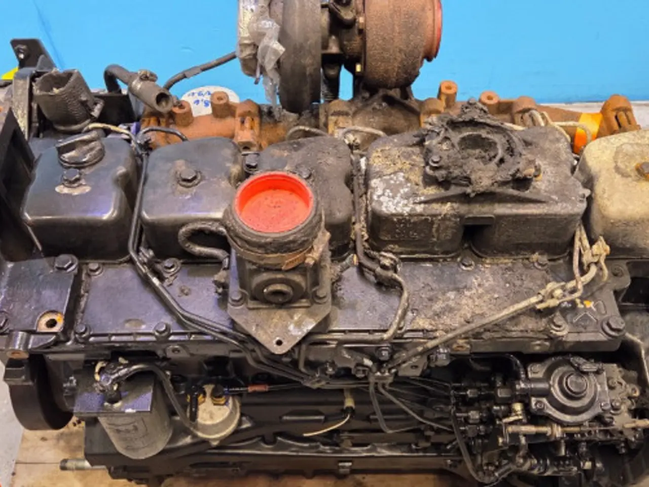 Billede 5 - Iveco 6 FPT Motor 87318899