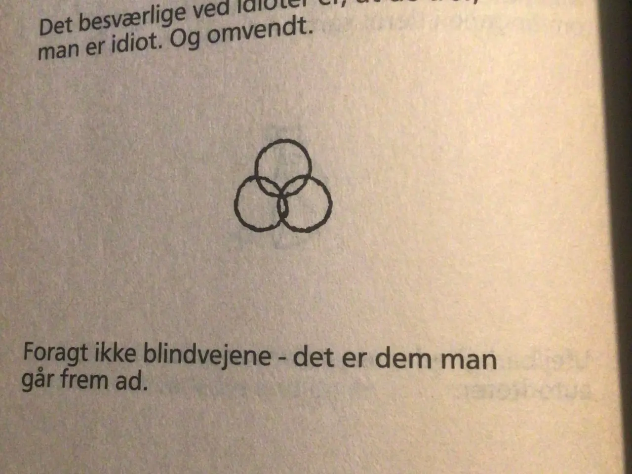 Billede 2 - Piet Hein i ord og streg & udvalgte gruk