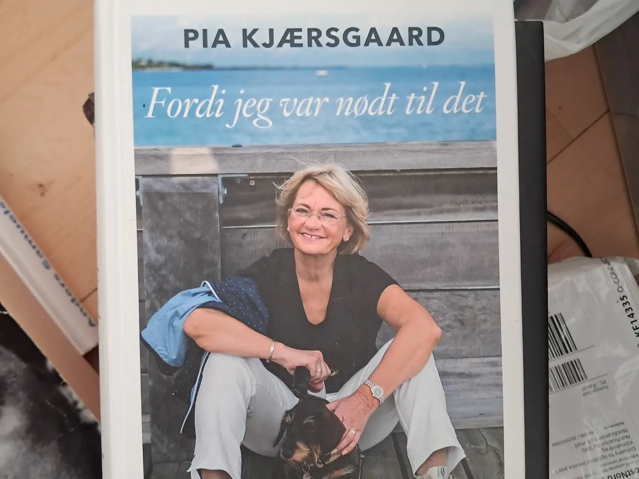Billede 13 - Politiske bøger 