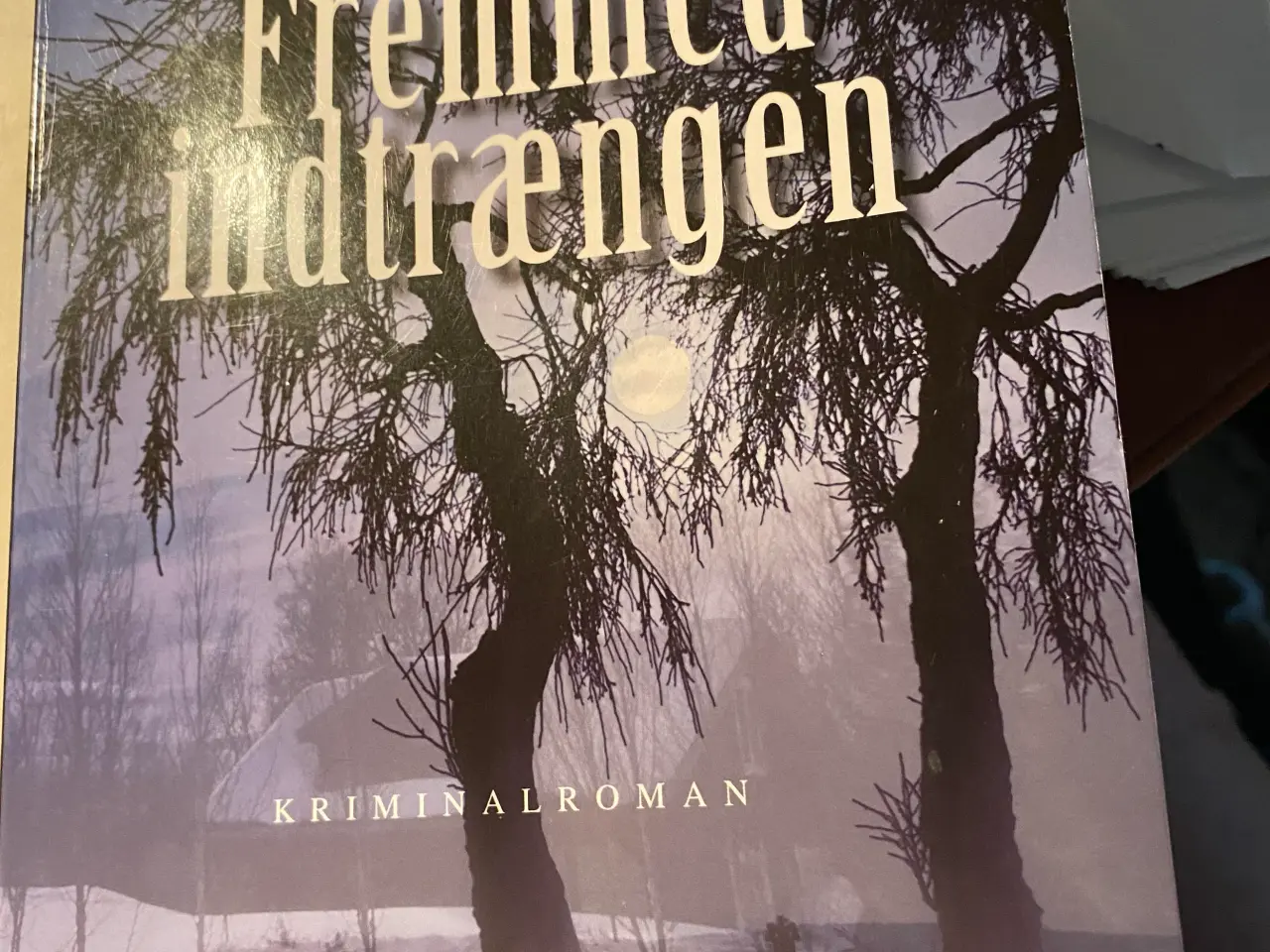 Billede 1 - Fremmed indtrængen