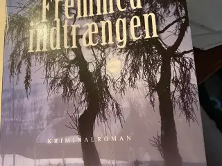 Fremmed indtrængen