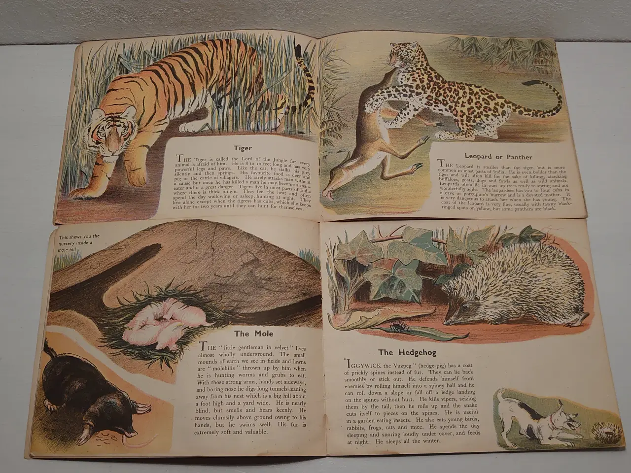 Billede 3 - Arnrid Johnston: 2 stk "A Puffin Picture Book" 