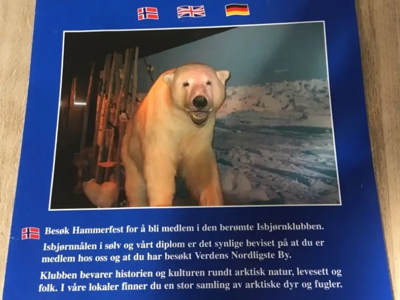 Billede 2 - Isbjørn pin