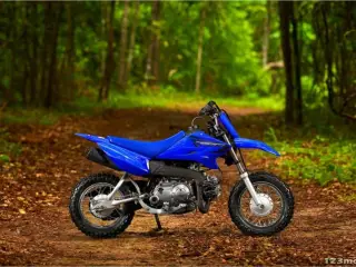 Yamaha TT R50E