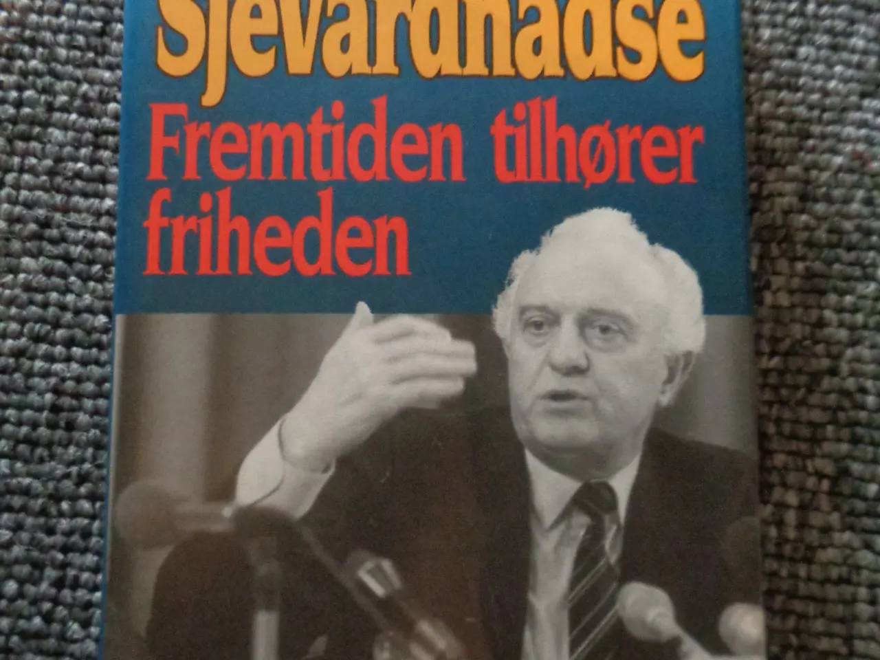 Billede 1 - Fremtiden tilhører friheden 