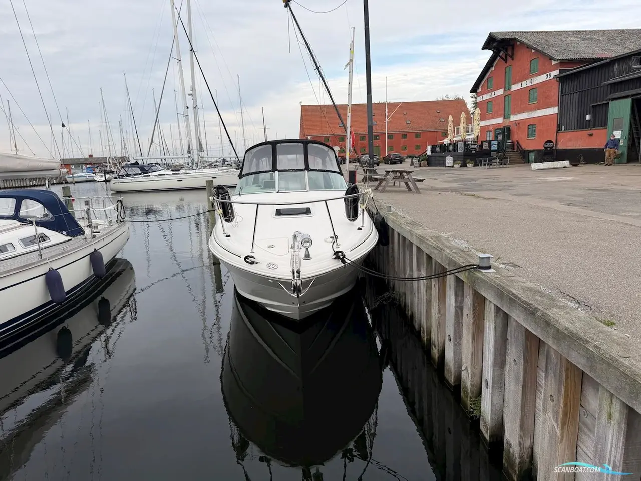 Billede 3 - Sea Ray 315 Sundancer