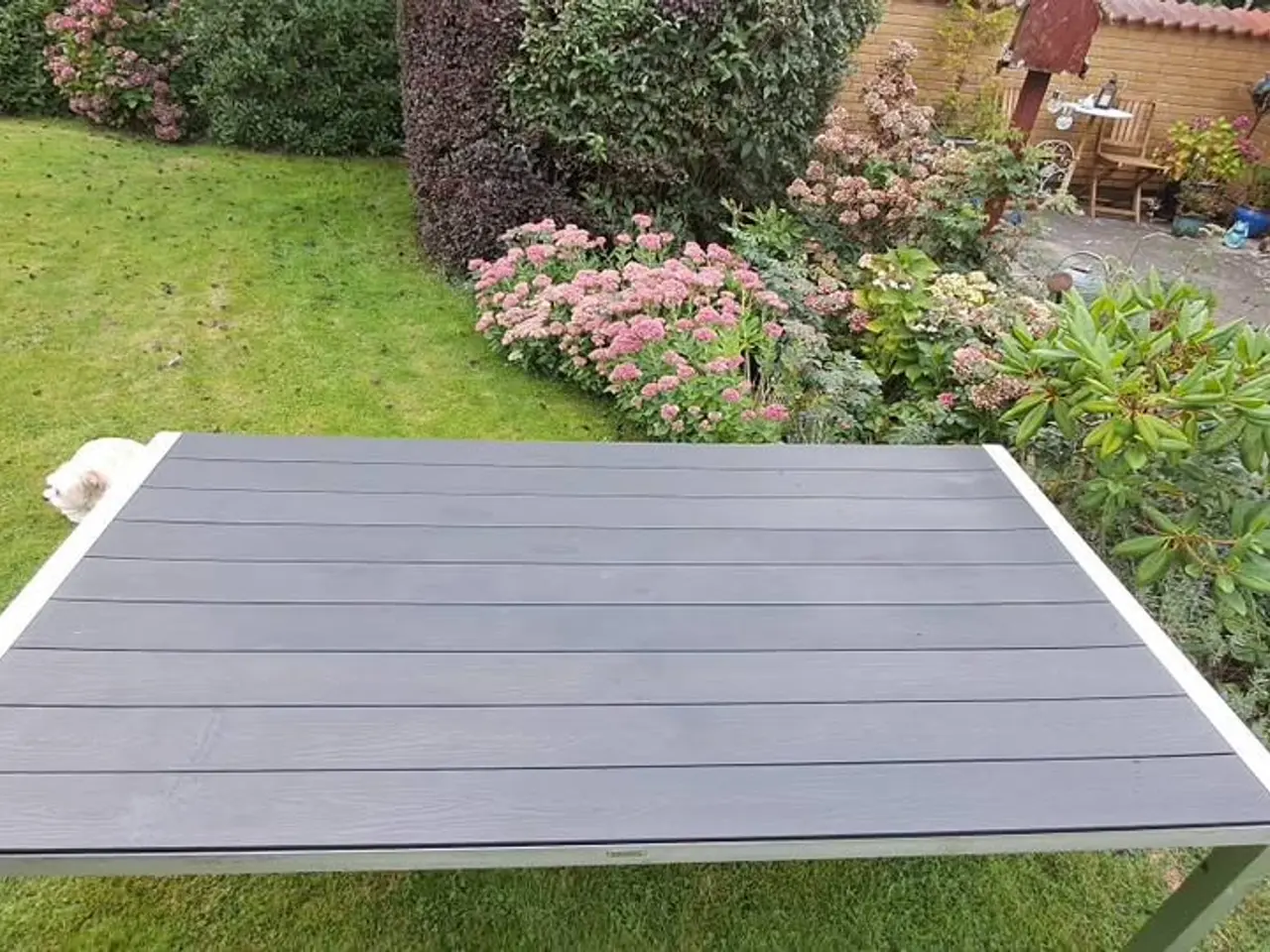 Billede 3 - Pænt havebord . mærke : Living Elements. Kun 300