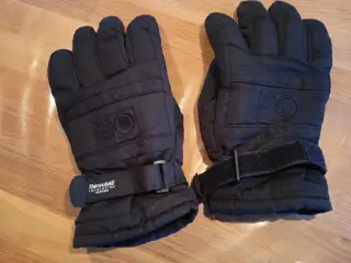 Skihandsker Thinsulate