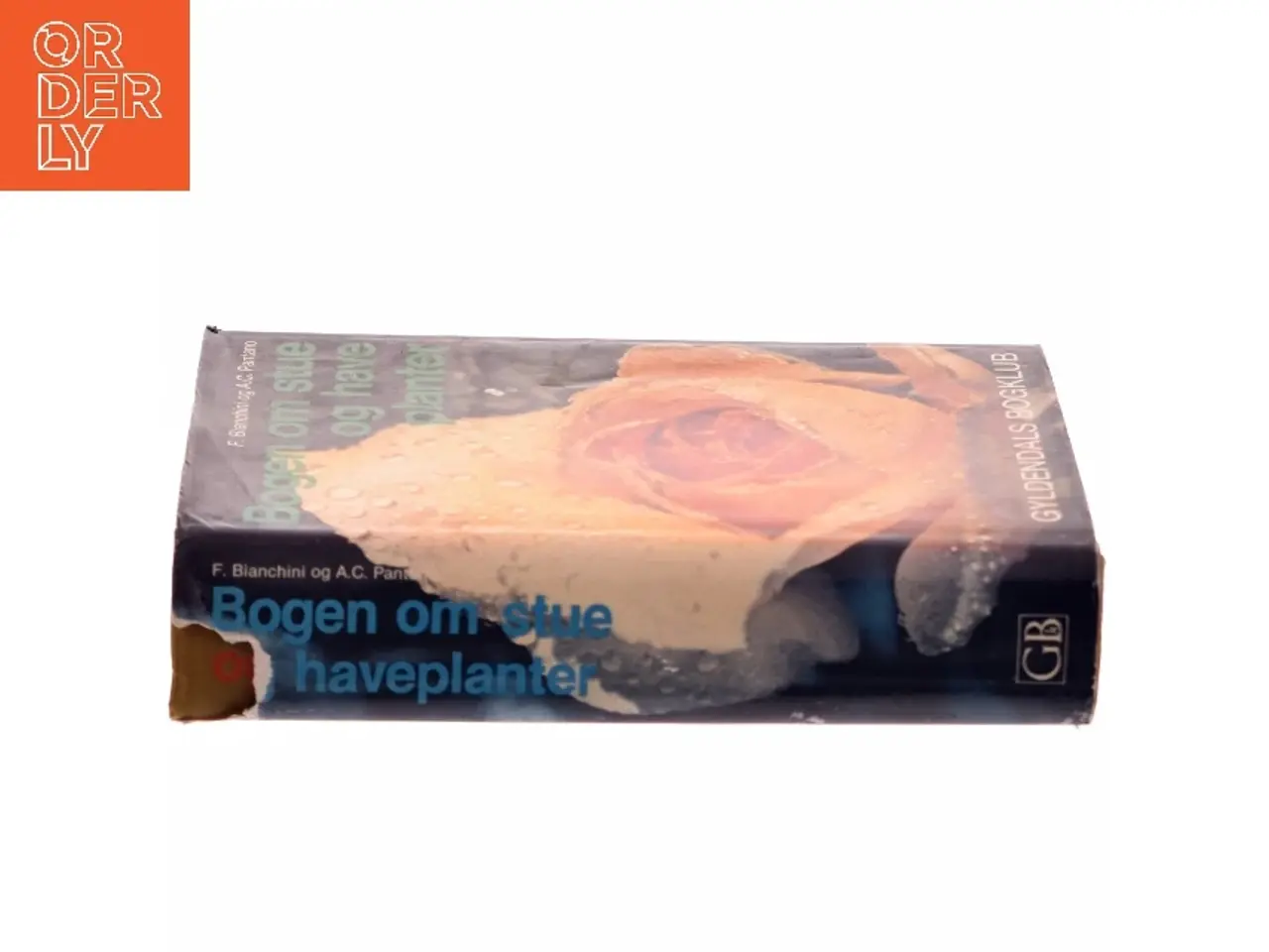Billede 2 - Bogen om stue og haveplanter af F. Bianchini (Bog)