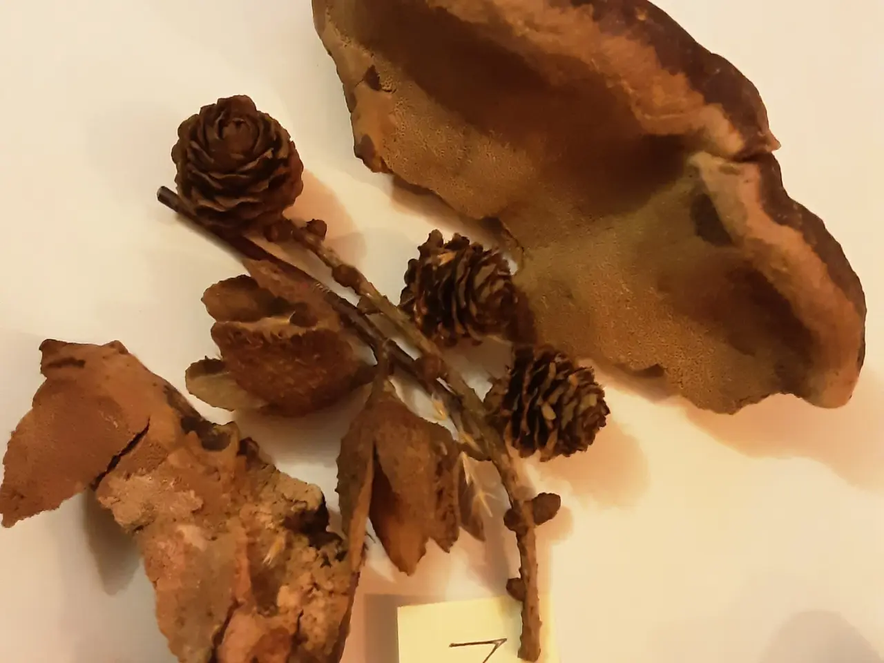 Billede 5 - Mere natur juledekoration pynt.