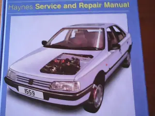 Haynes