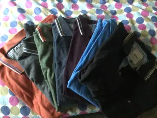 Bison Polo Shirts