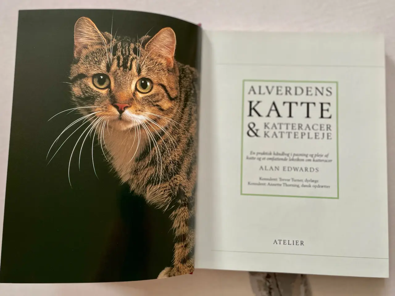 Billede 3 - Bog Kattepleje og katteracer