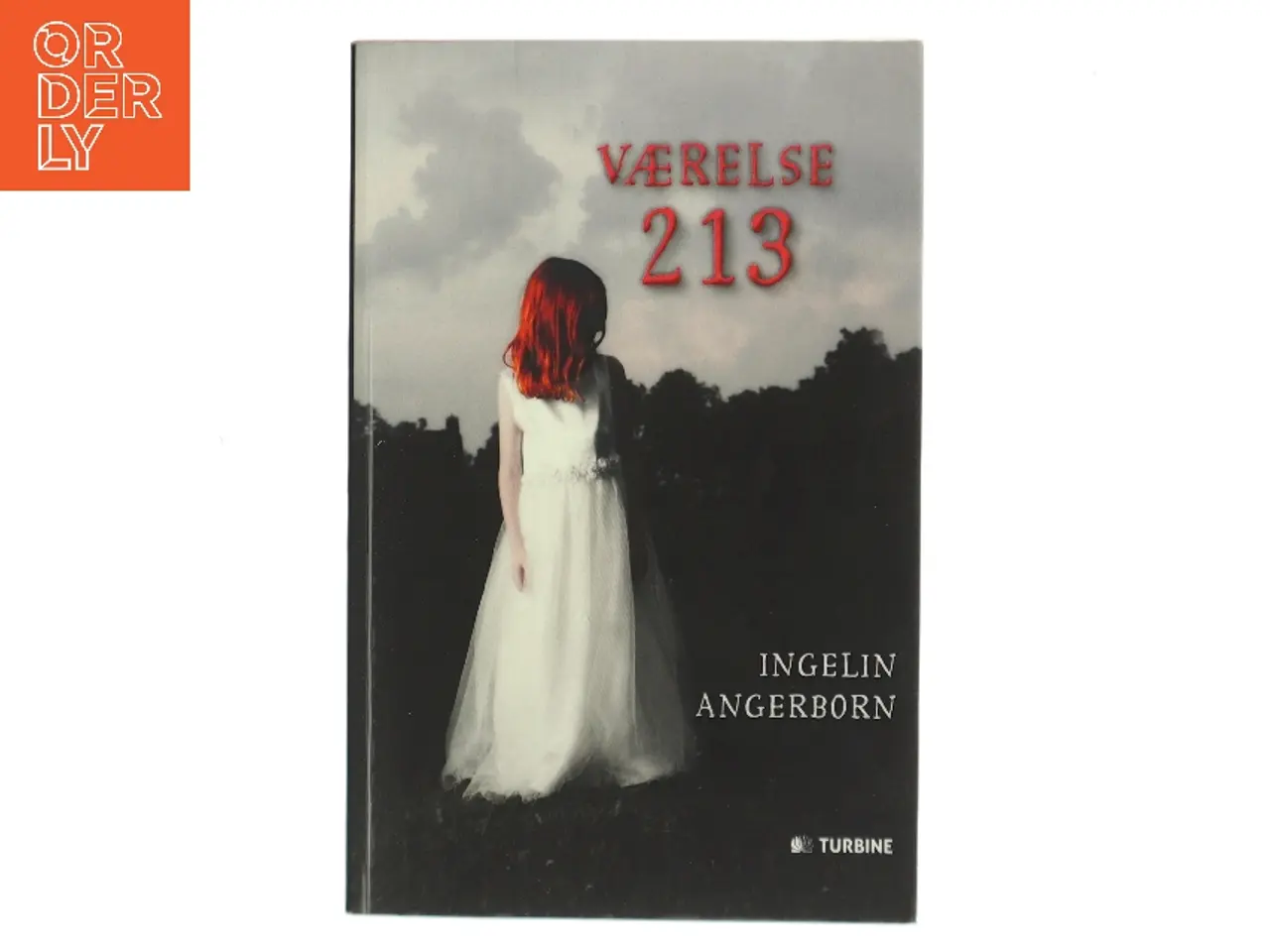 Billede 1 - Værelse 213 af Ingelin Angerborn (Bog)