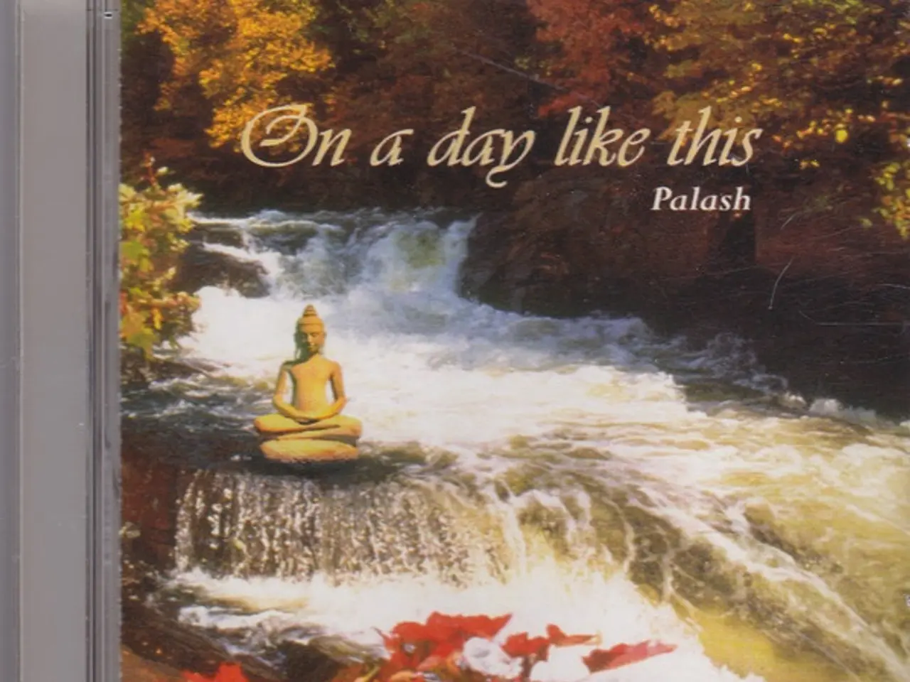 Billede 1 - Palash – On A Day Like This – CD