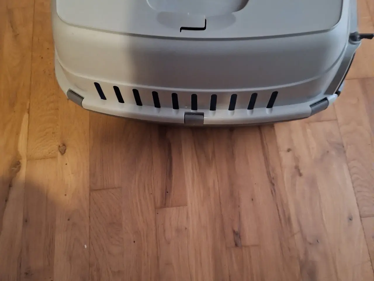Billede 1 - Lidt bla. til katten