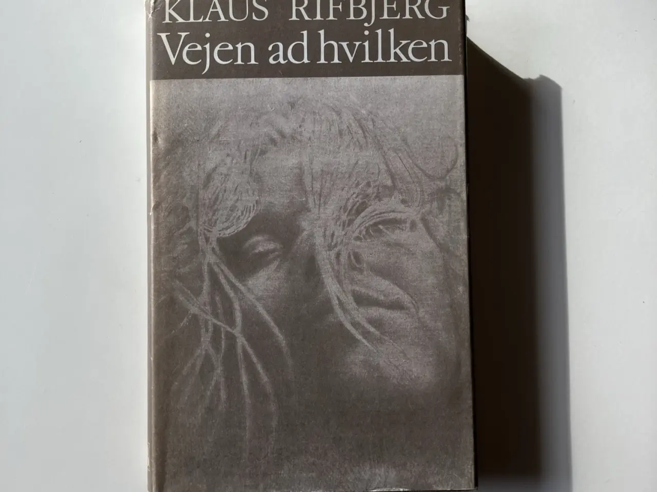 Billede 1 - Vejen ad hvilken. Af Klaus Rifbjerg