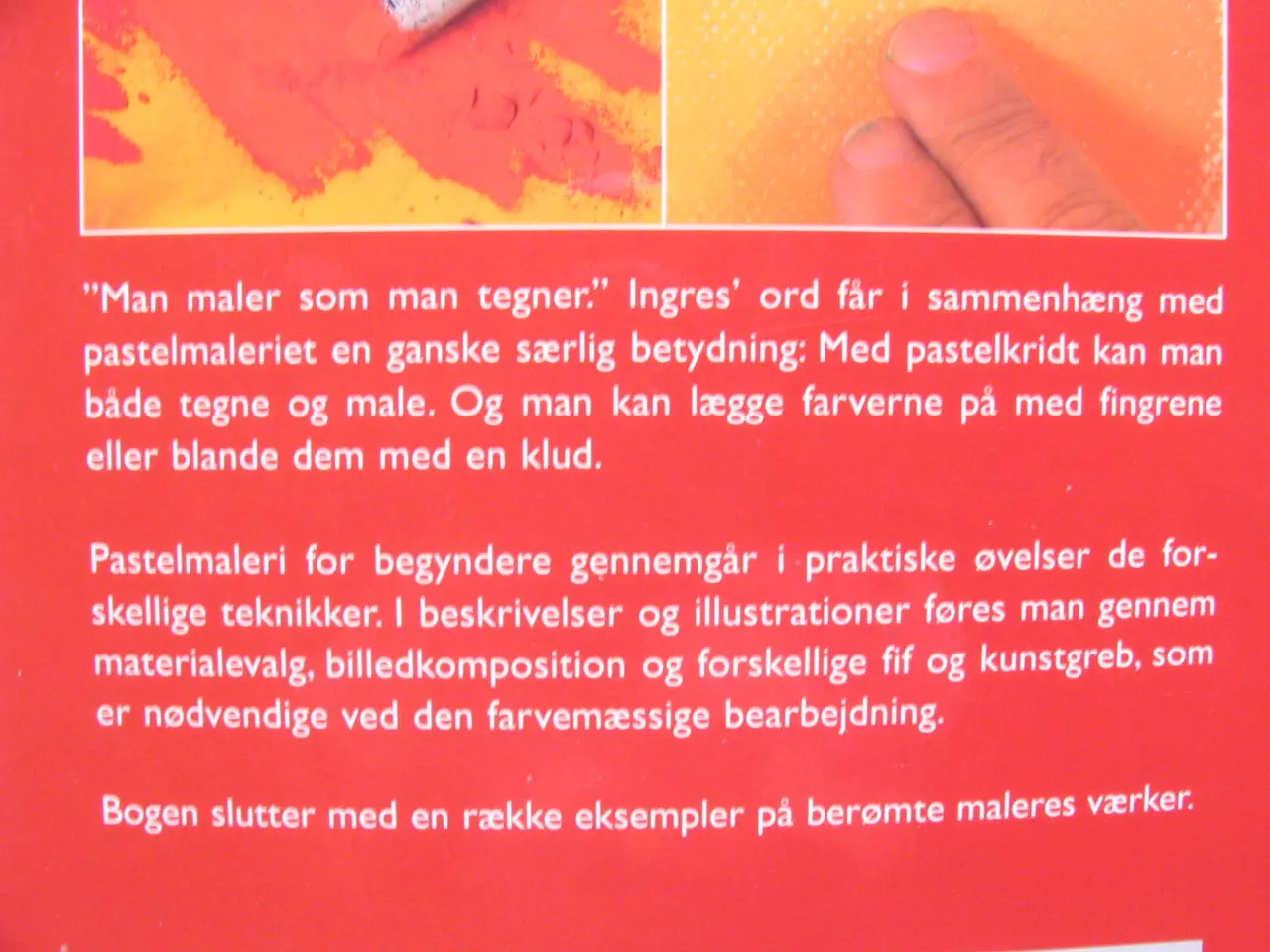 Billede 8 - Pastelmaleri for begyndere