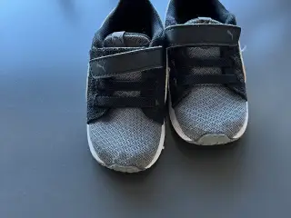 Kondisko