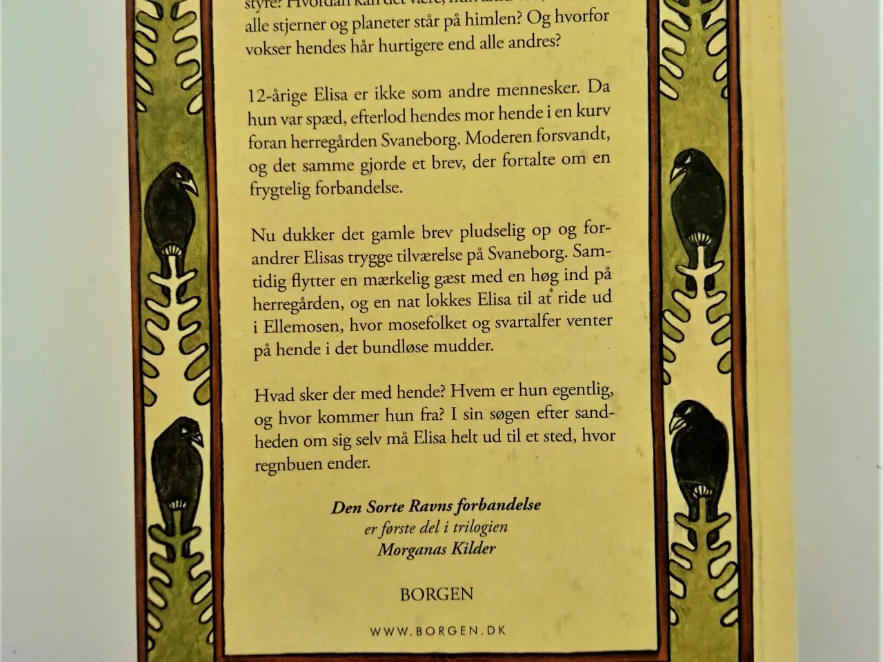 Billede 2 - Den Sorte Ravns forbandelse Af Helle Ryding