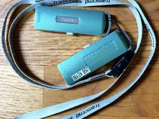 2 stk.Transcend USB-stik (256 MB)
