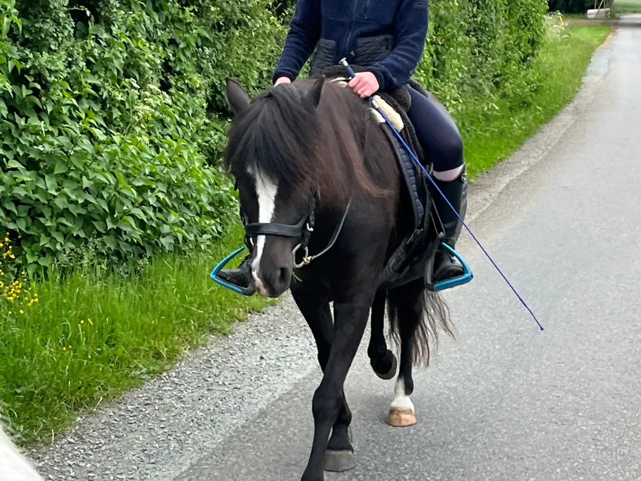 Billede 4 - 1kl. Dartmoor 