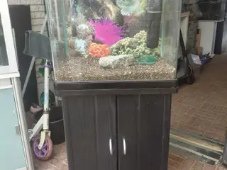Akvarier 60L 