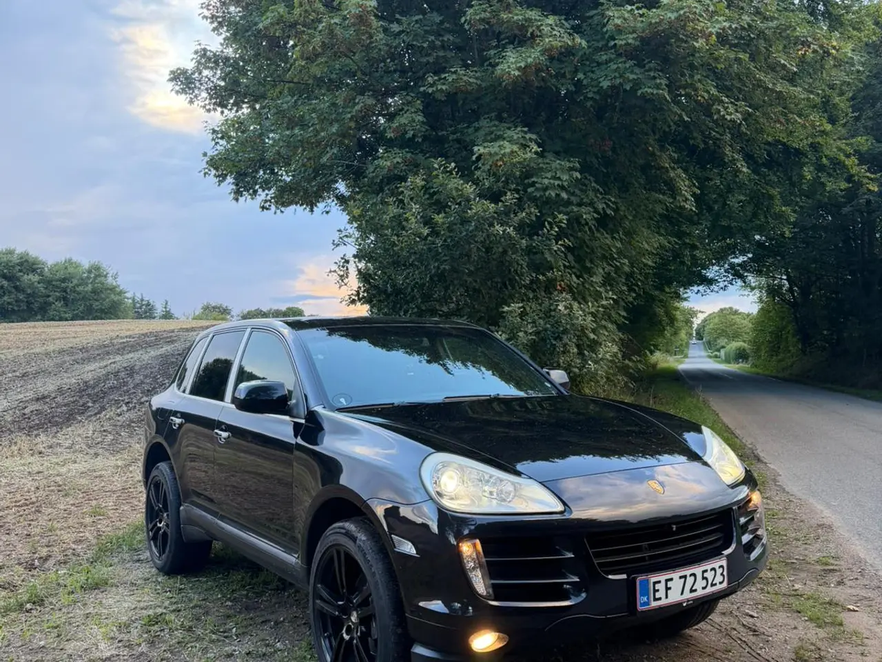 Billede 5 - Hvidpladet Cayenne