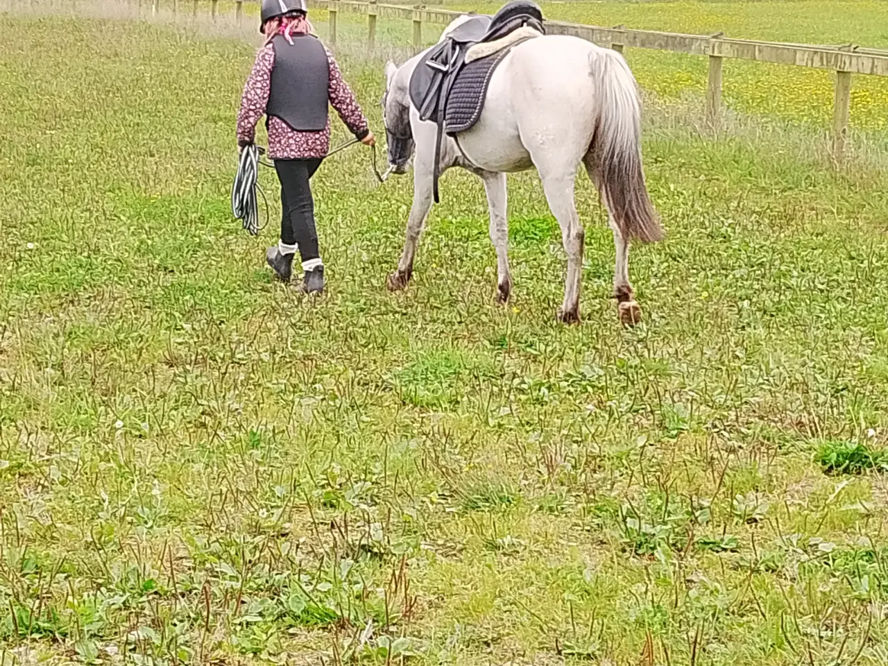 Billede 2 - Smart 3'er pony