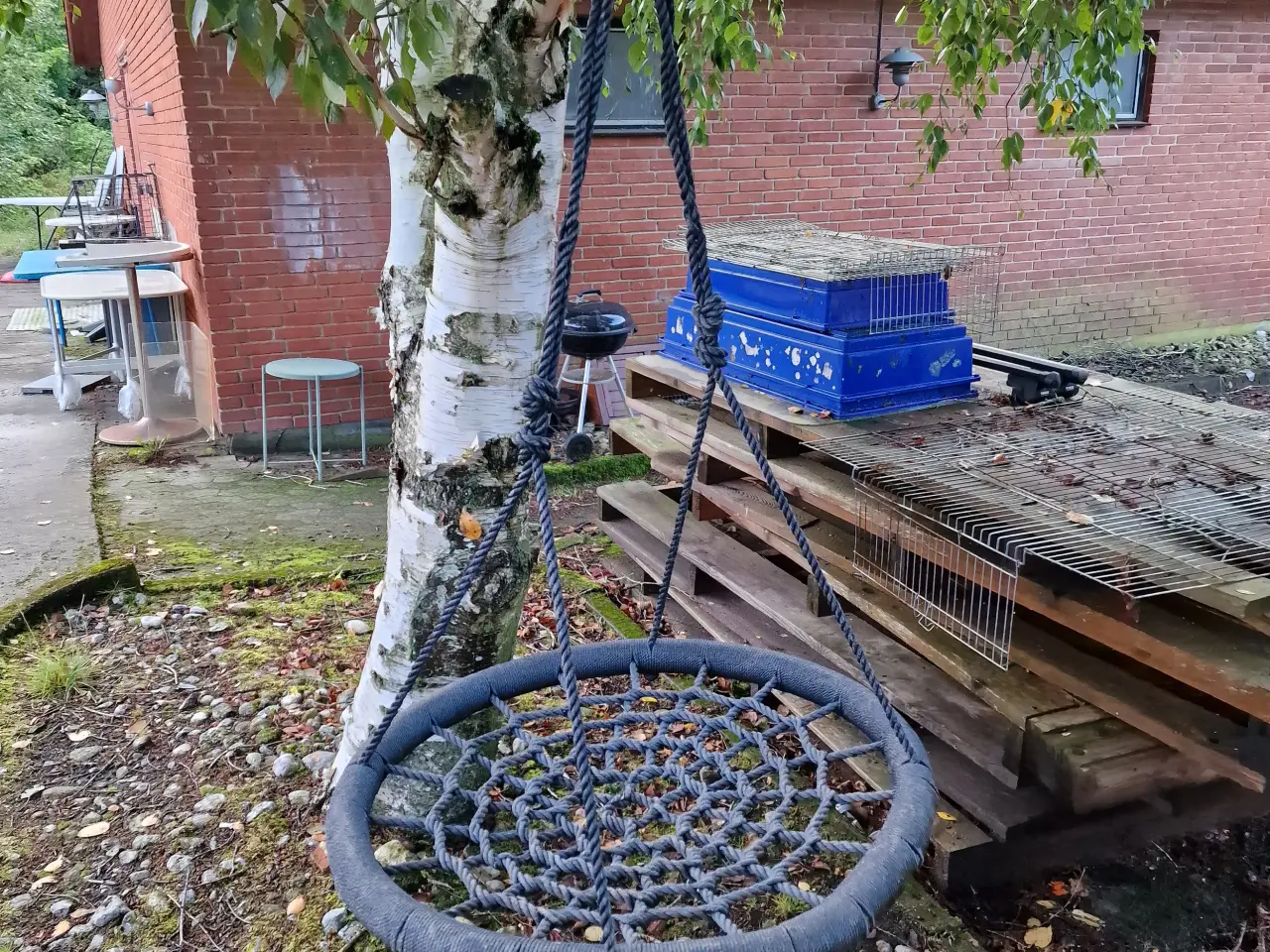 Billede 1 - Gyngerede i meget kraftig kvalitet 