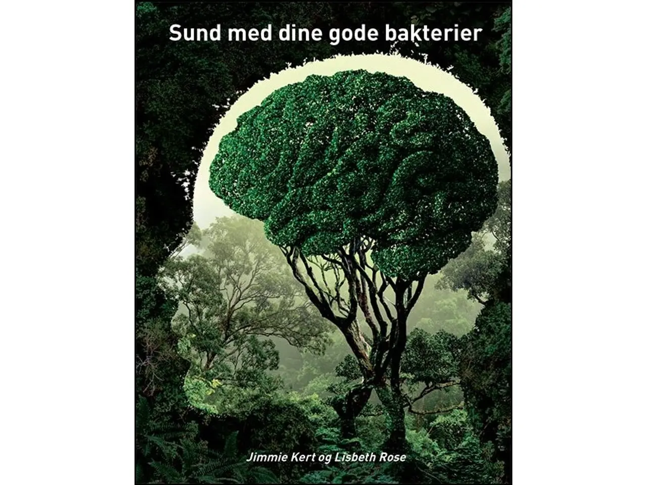 Billede 1 - Sund med dine gode bakterier