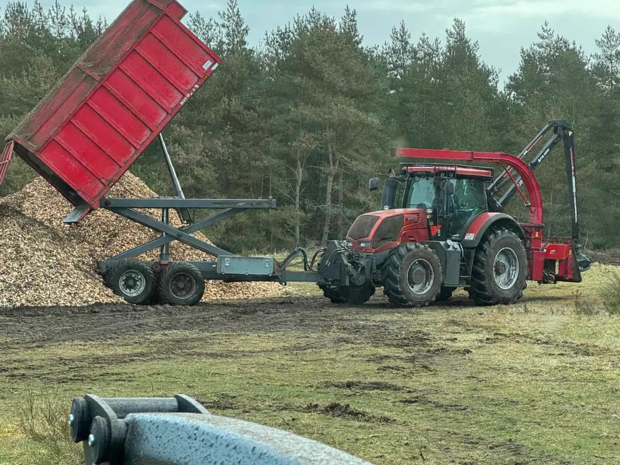 Billede 9 - Skovningsprojekter søges