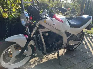 Suzuki GS500E speciel design