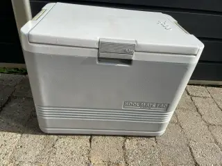 Igloo køler