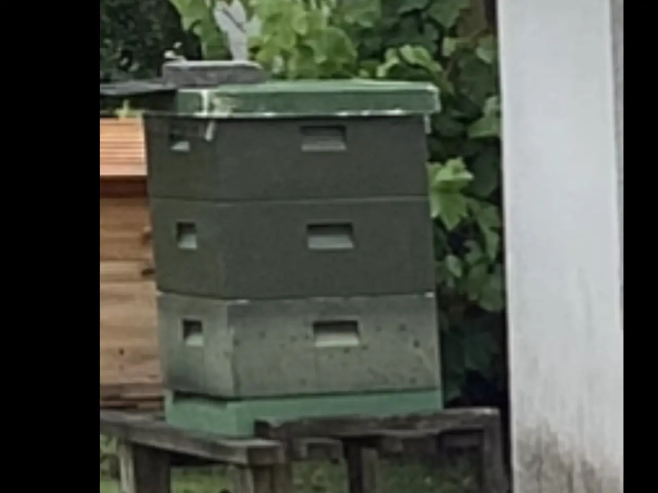 Billede 1 - Bistader uden bier LR. 550kr.
