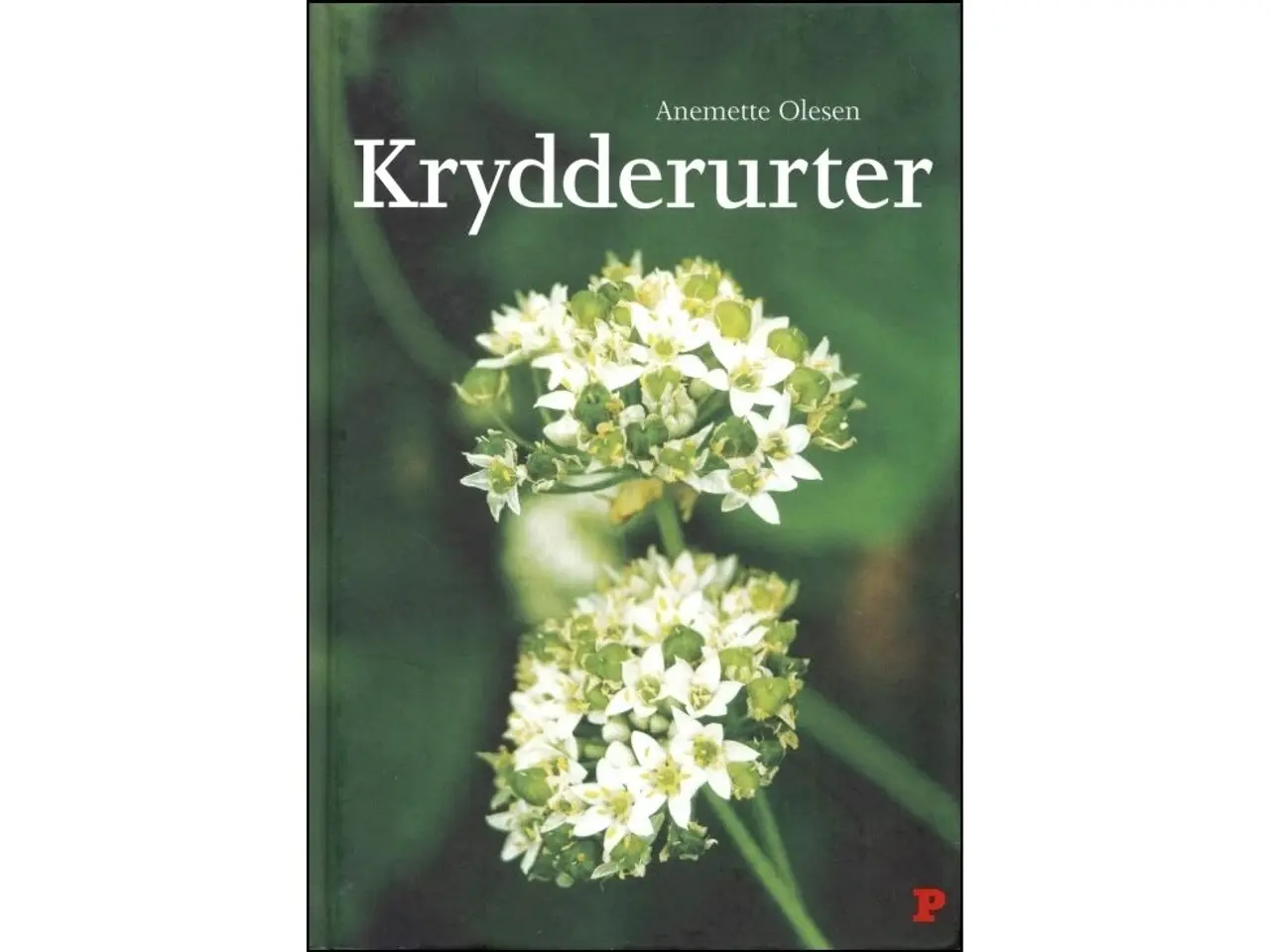 Billede 2 - Alverdens Krydderier og Krydderurter