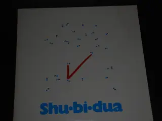 Vinylplade - Shu.bi.dua 5