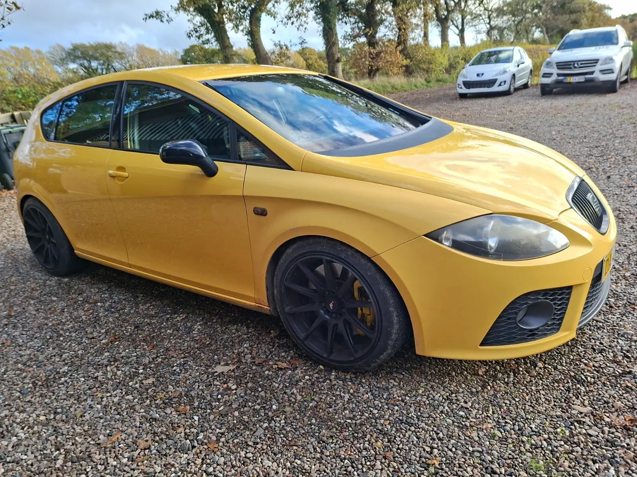 Billede 3 - Seat Leon 2,0 TSi Cupra Van