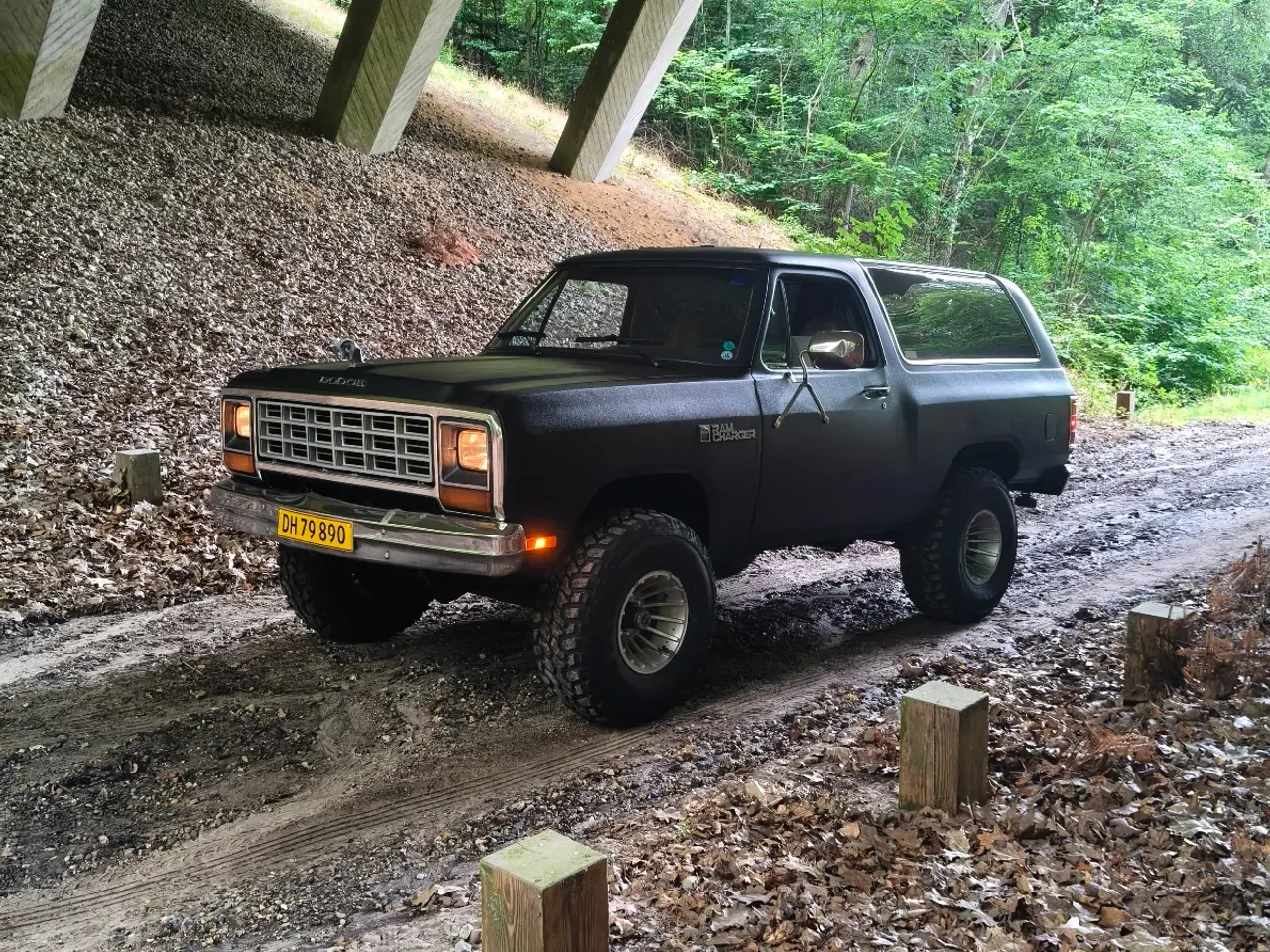 Billede 3 - Dodge Ramcharger