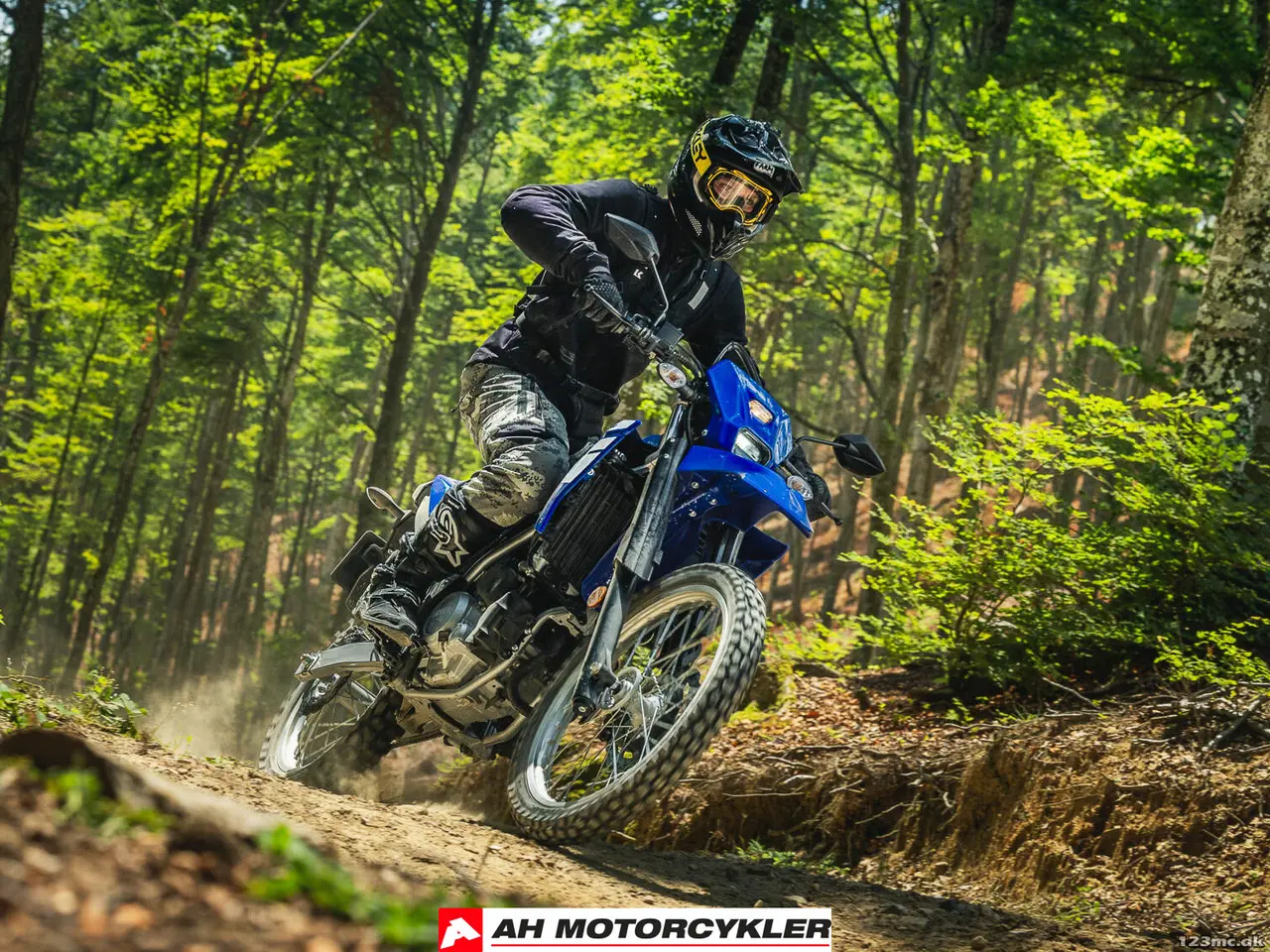 Billede 20 - Yamaha WR 125 R Icon Blue